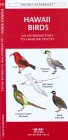 Hawaii Birds: An Introduction to Familiar Species (Pocket Naturalist)